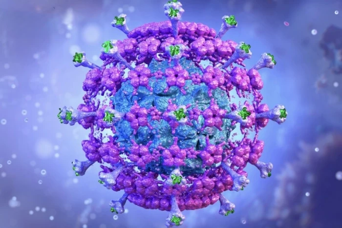 Bộ Y tế cảnh báo khẩn về nguy cơ dịch tả xâm nhập vào Việt Nam