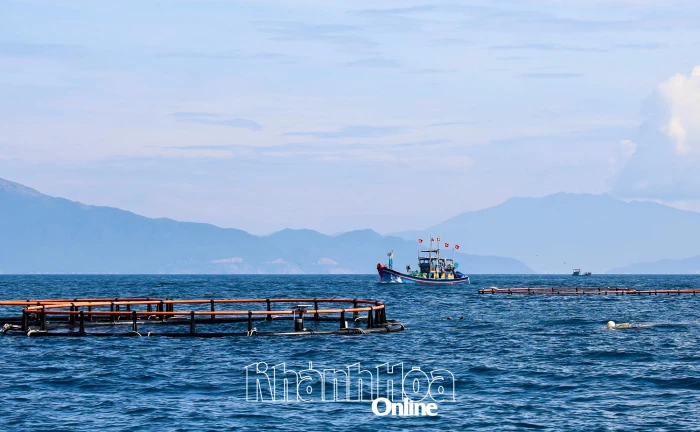 Hỗ trợ xây dựng bến và phương tiện hậu cần cho vùng nuôi biển công nghệ cao Hòn Nội