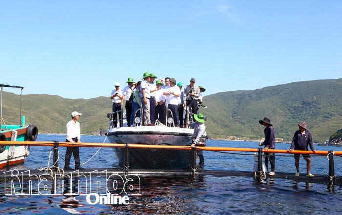 Tập trung thực hiện Đề án thí điểm phát triển nuôi biển công nghệ cao 