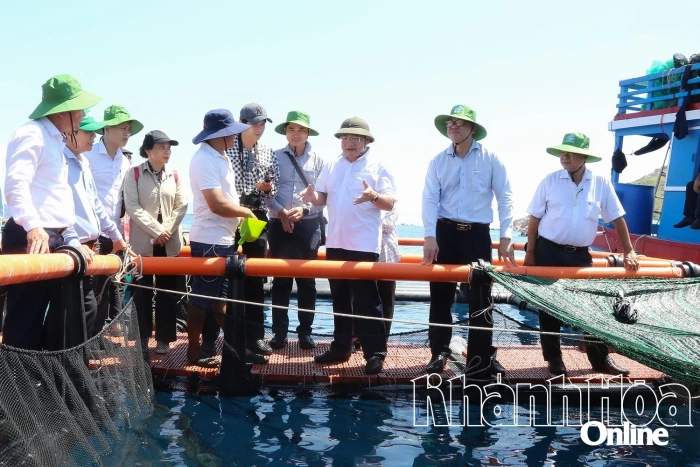 Vươn khơi nuôi biển - Kỳ 1: Thúc đẩy phát triển nuôi biển công nghệ cao