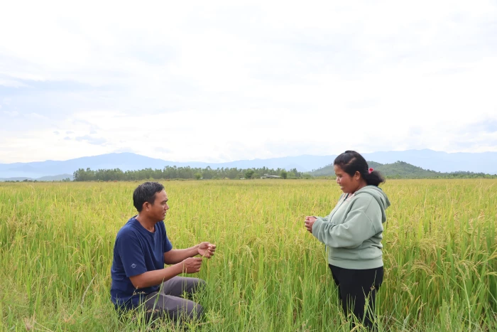 Hướng tới Đại hội đại biểu Đảng bộ tỉnh Khánh Hòa lần thứ I, nhiệm kỳ 2025 - 2030: Xây dựng đội ngũ cán bộ dân tộc thiểu số trong thời kỳ mới - Kỳ 2: Bắc "nhịp cầu" nối ý Đảng, lòng dân
