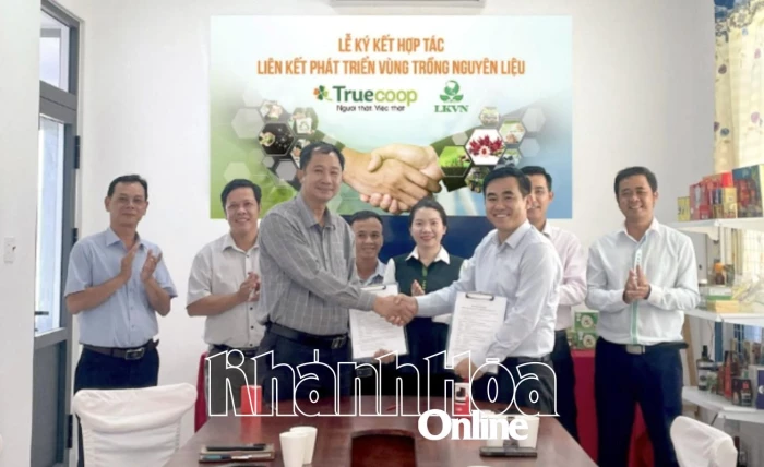 Ký kết hợp tác phát triển vùng trồng nguyên liệu