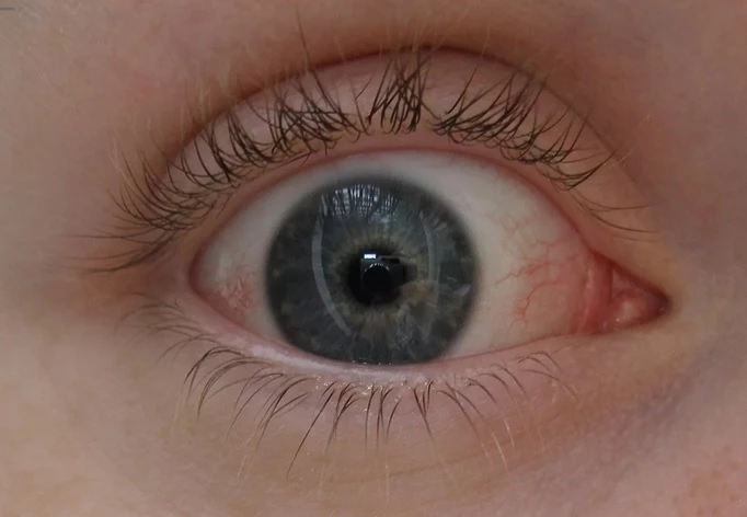 Ảnh minh họa. Nguồn: Sputnik