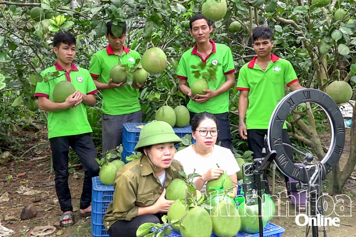 Nỗ lực xây dựng thương hiệu cho nông sản miền núi
