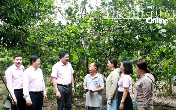 Phòng giao dịch Ngân hàng Chính sách xã hội Diên Khánh: Phát huy hiệu quả nguồn vốn tín dụng