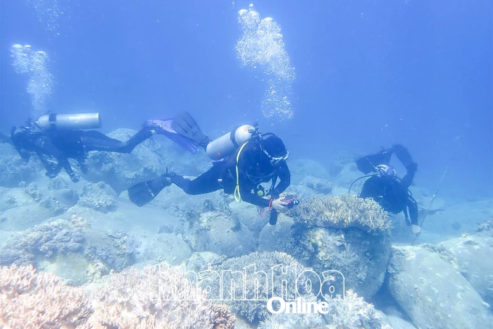 Chào mừng Đại hội đại biểu Đảng bộ tỉnh Khánh Hòa lần thứ I, nhiệm kỳ 2025 - 2030: Bảo tồn, phát huy giá trị bền vững hệ sinh thái biển vịnh Nha Trang