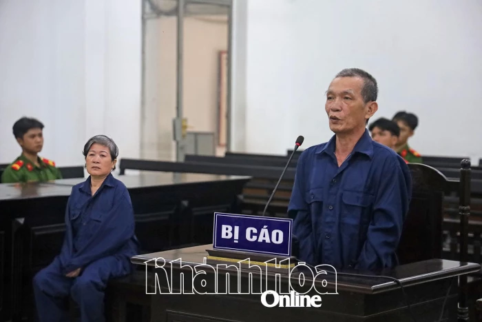 Lừa bán đất, vợ chồng “chủ đất dỏm” lãnh án