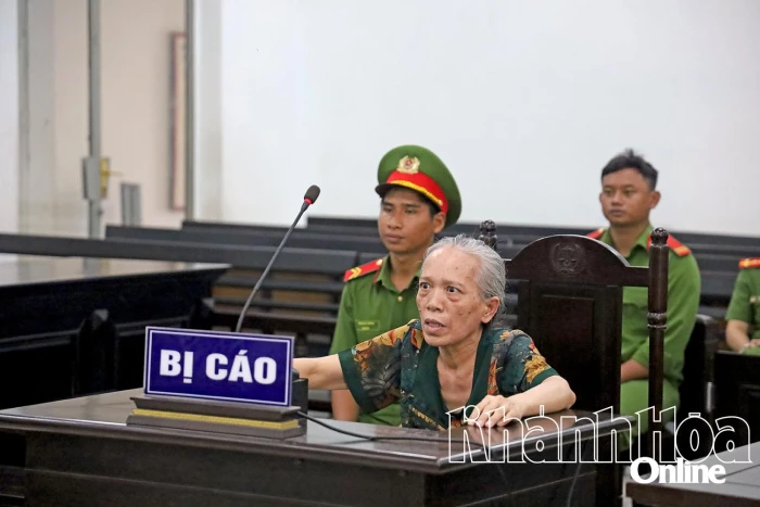 11 năm tù cho chủ dây hụi lừa tiền người chơi