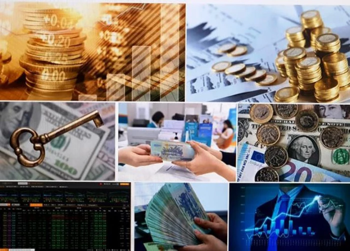 Thủ tướng Chính phủ định hướng chỉ đạo, điều hành chính sách tài khóa, chính sách tiền tệ