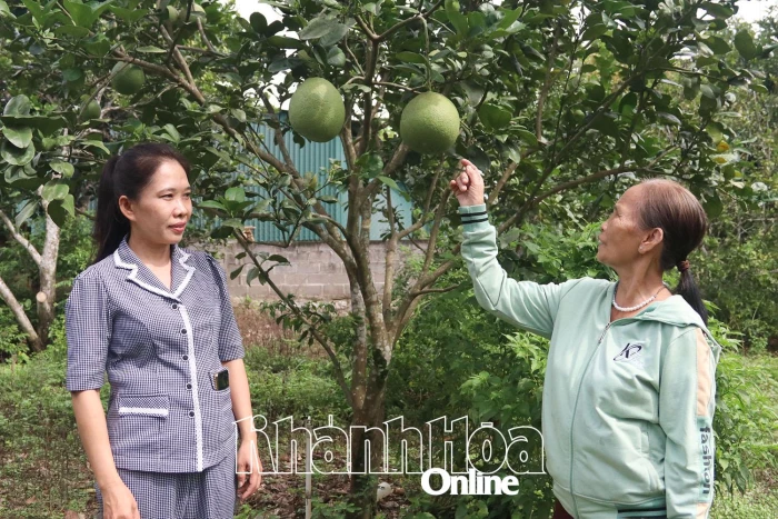 Hội Liên hiệp Phụ nữ xã Khánh Vĩnh: Giúp hội viên phát triển kinh tế