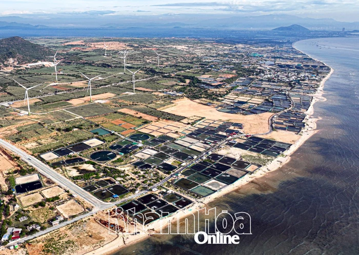 Nỗ lực giải phóng mặt bằng dự án điện hạt nhân