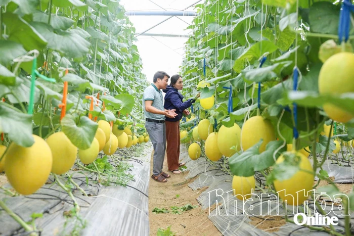 Sản xuất nông sản hữu cơ và tuần hoàn