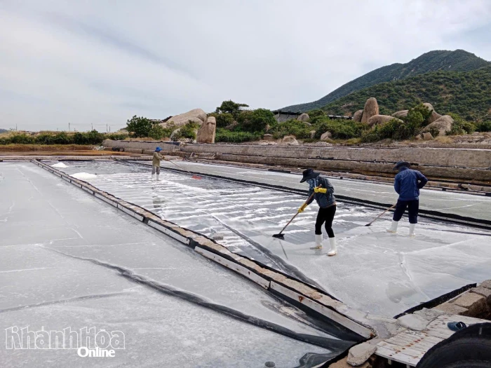 Xã Ninh Hải từng bước khai thác hiệu quả các động lực tăng trưởng