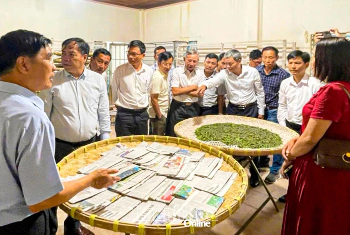 Xã Ninh Sơn: Hướng đi mới cho nghề trồng dâu nuôi tằm