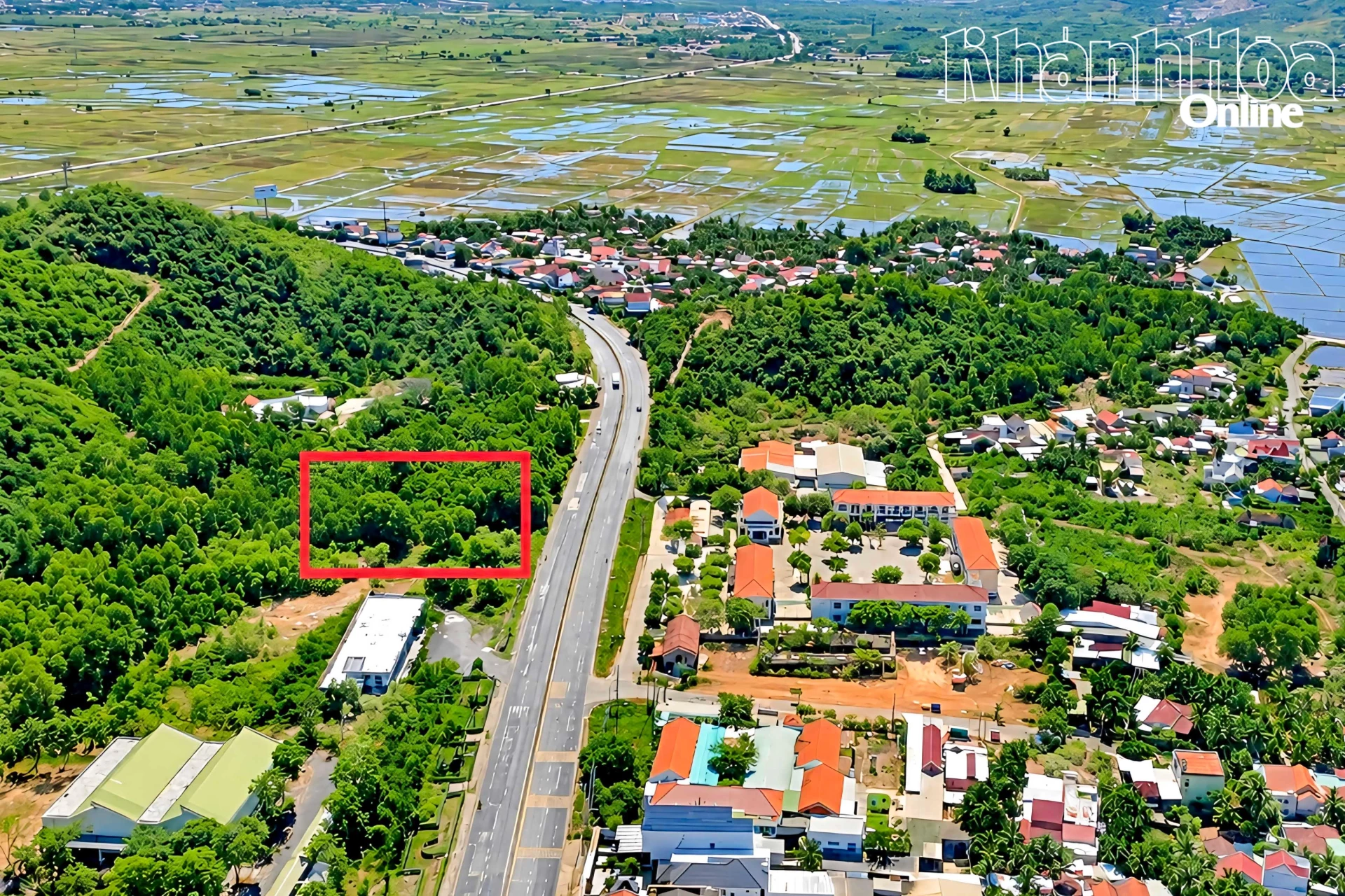 3 thửa đất liền kề (trong ô đóng dấu) của bà Hiệp xung quanh là khu dân cư và trường học bị quy hoạch phần lớn đất rừng sản xuất.