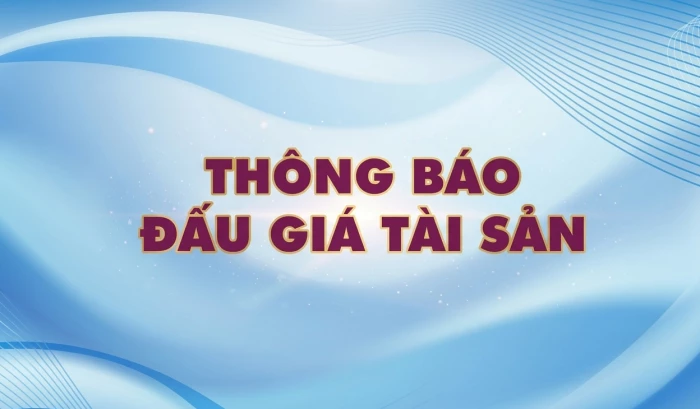 Công ty Đấu giá Hợp danh Lam Sơn Sài Gòn thông báo đấu giá tài sản