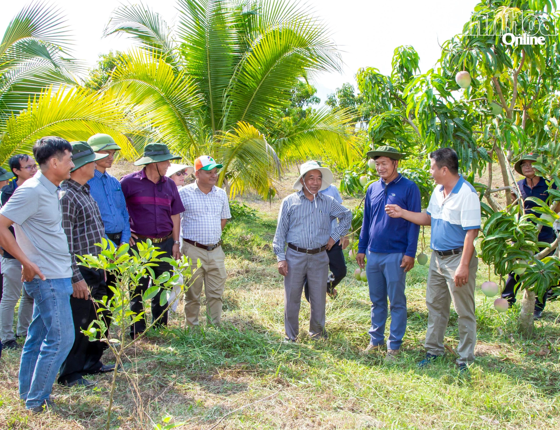 Ông Nguyễn Minh Thành và các nông dân trên địa bàn trao đổi về quy trình chăm sóc xoài tại Sản Việt Farm.
