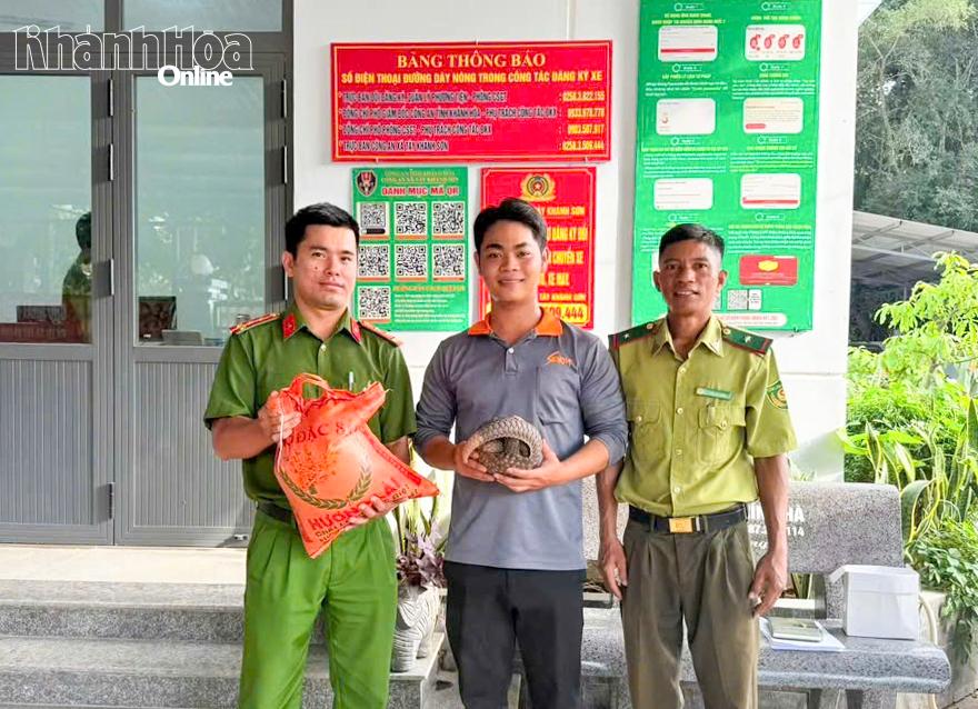 Anh Cao Minh Quốc Tài giao nộp cá thể tê tê Java quý hiếm cho lực lượng chức năng xã Tây Khánh Sơn.