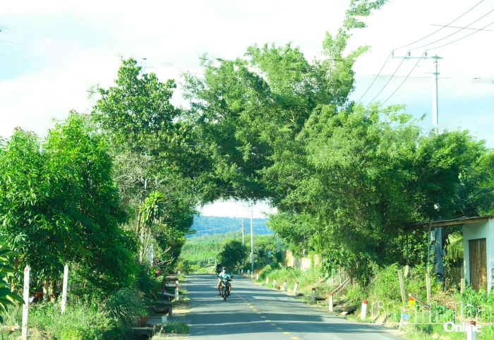 Những nẻo đường quê hương