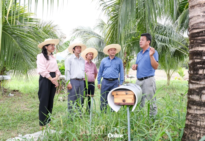 Khánh Hòa có 3 nông dân được vinh danh "Nông dân Việt Nam xuất sắc 40 năm đổi mới" năm 2026