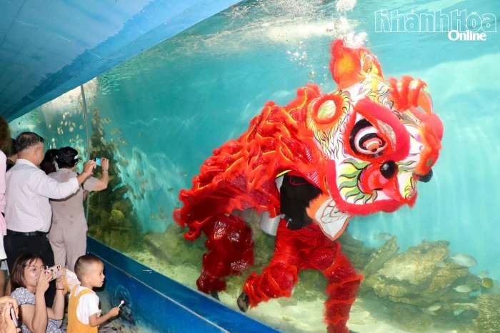 Bảo tàng Hải dương học tổ chức múa lân dưới nước đón Trung thu