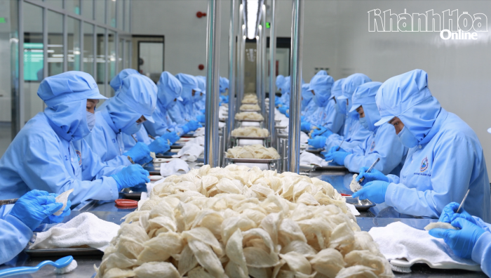 Yến sào Khánh Hòa nằm trong 100 doanh nghiệp nhà nước đóng góp ngân sách lớn nhất Việt Nam 