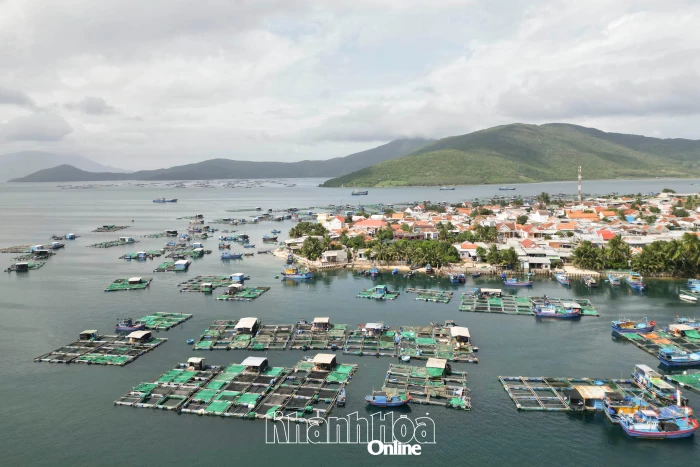 Xã Đại Lãnh: Tăng tốc để đạt mục tiêu tăng trưởng năm 2026