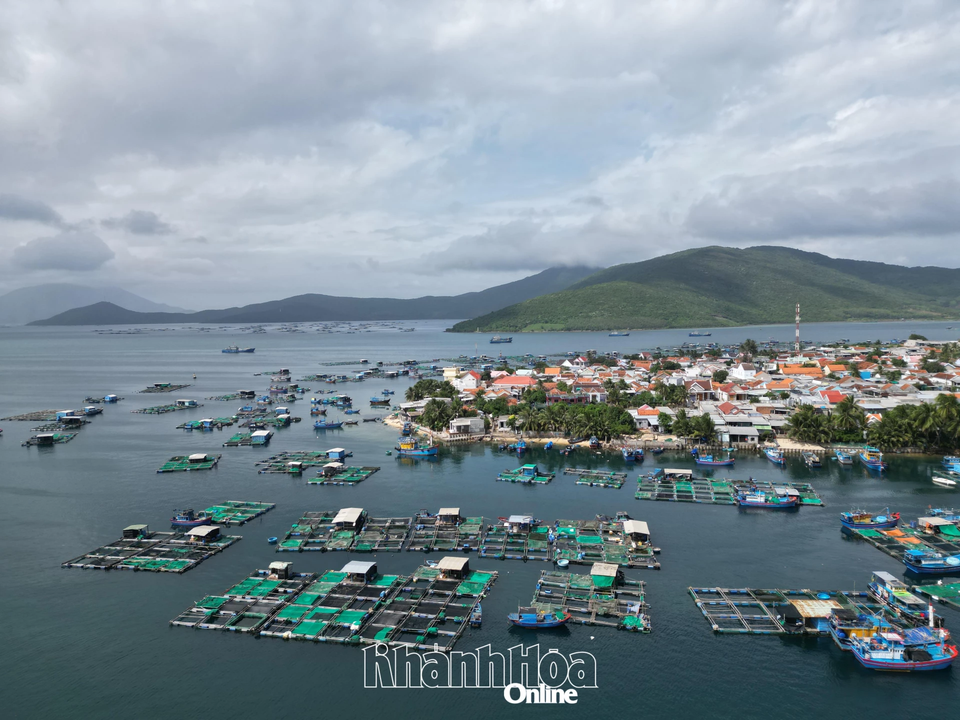 Xã Đại Lãnh có nhiều tiềm năng để phát triển nuôi trồng thủy hải sản công nghệ cao.