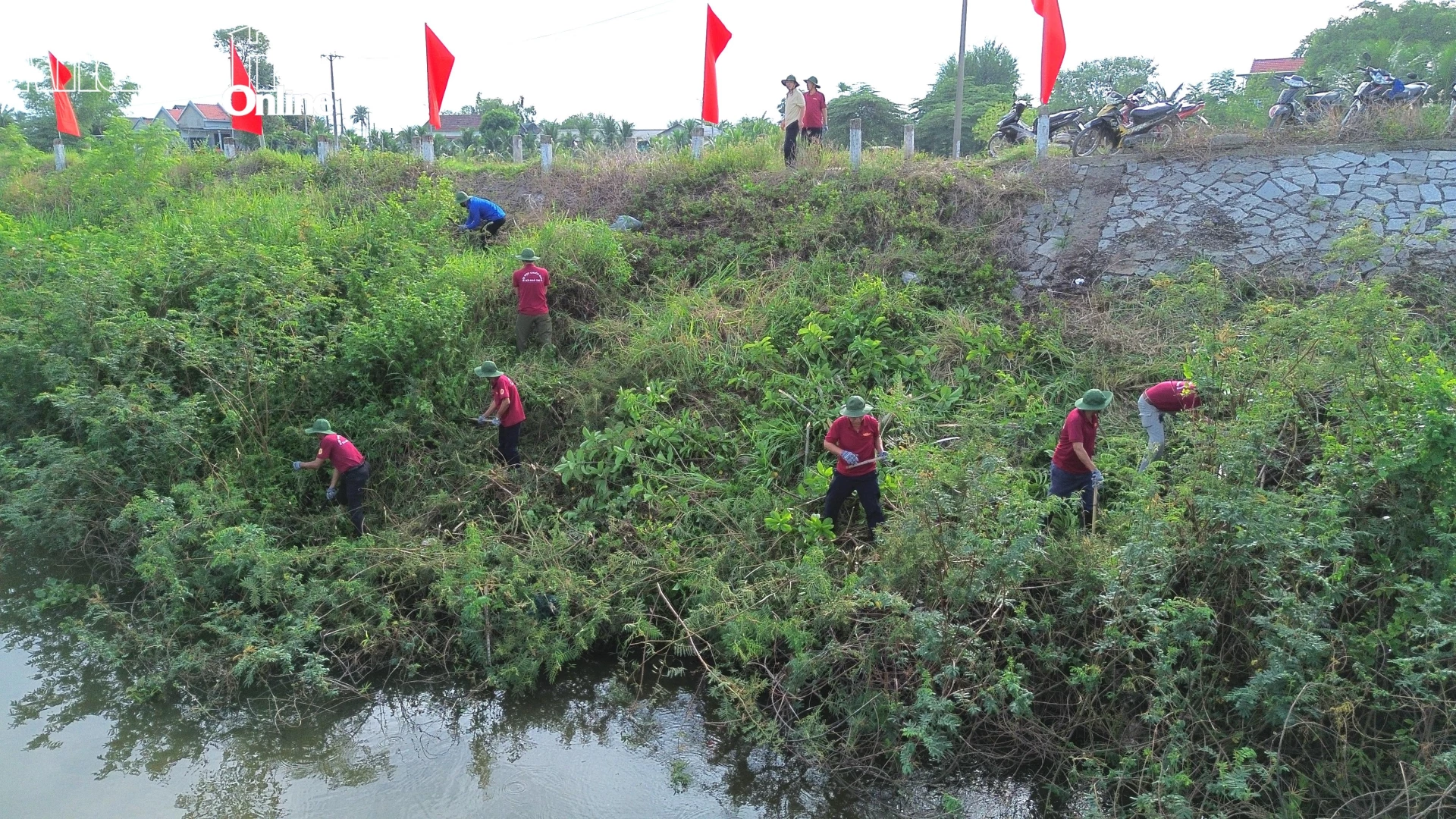 Các lực lượng tham gia phát quang, khơi thông dòng chảy tuyến sông Tân Lâm.