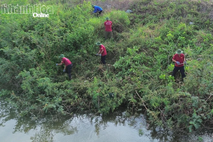 Xã Hòa Trí ra quân phát quang, khơi thông dòng chảy tuyến sông Tân Lâm