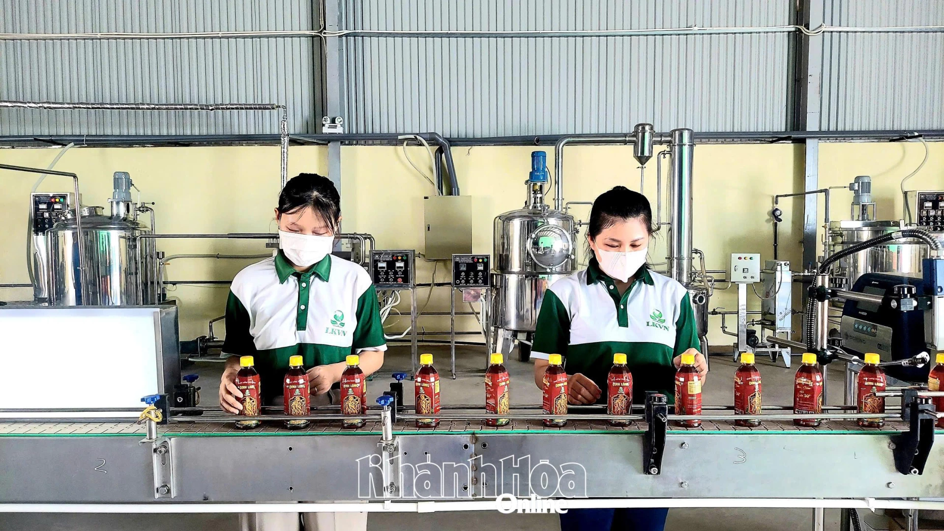 Hoạt động sản xuất tại Công ty Cổ phần Thảo dược Liên kết Việt Nam (xã Ninh Sơn) góp phần tạo nguồn thu cho địa phương.