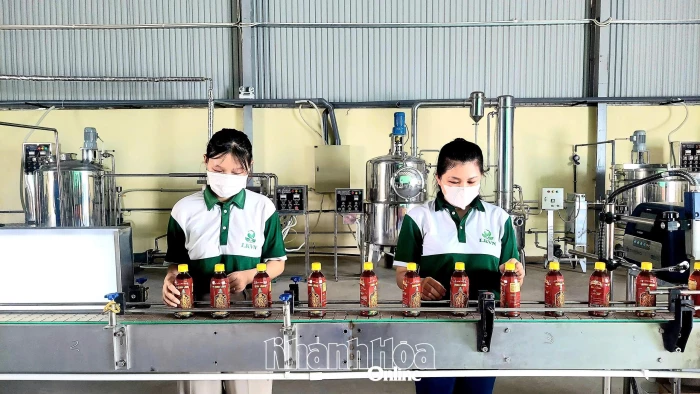 Thúc đẩy các nguồn lực tài chính ở cấp xã 