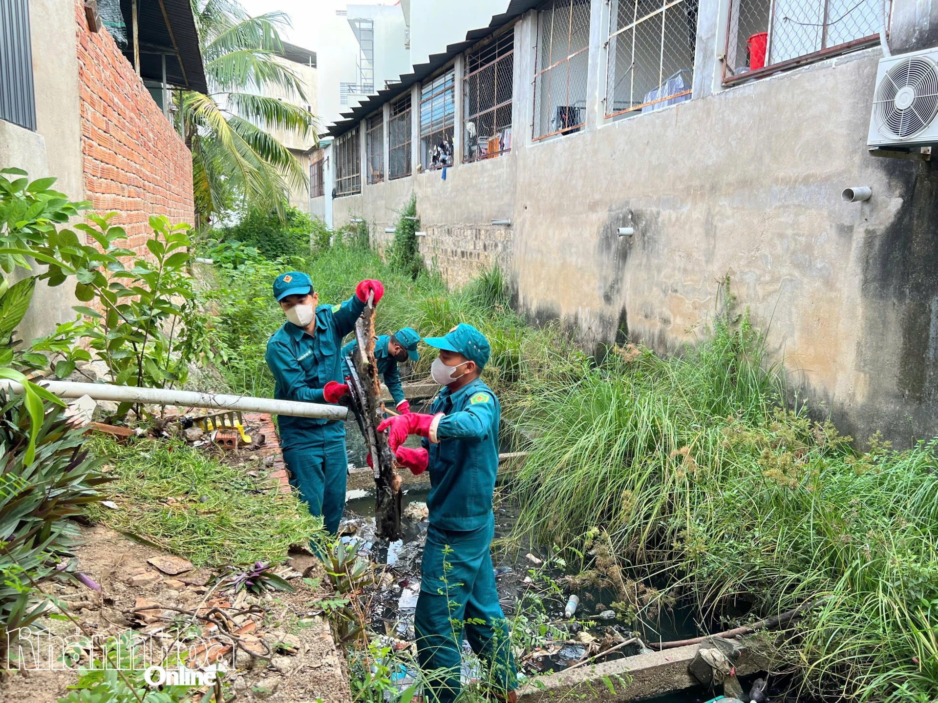 Lực lượng dân quân phường Tây Nha Trang ra quân thu gom rác ven khu vực sông Bà Vệ. Ảnh: TRẦN HẰNG