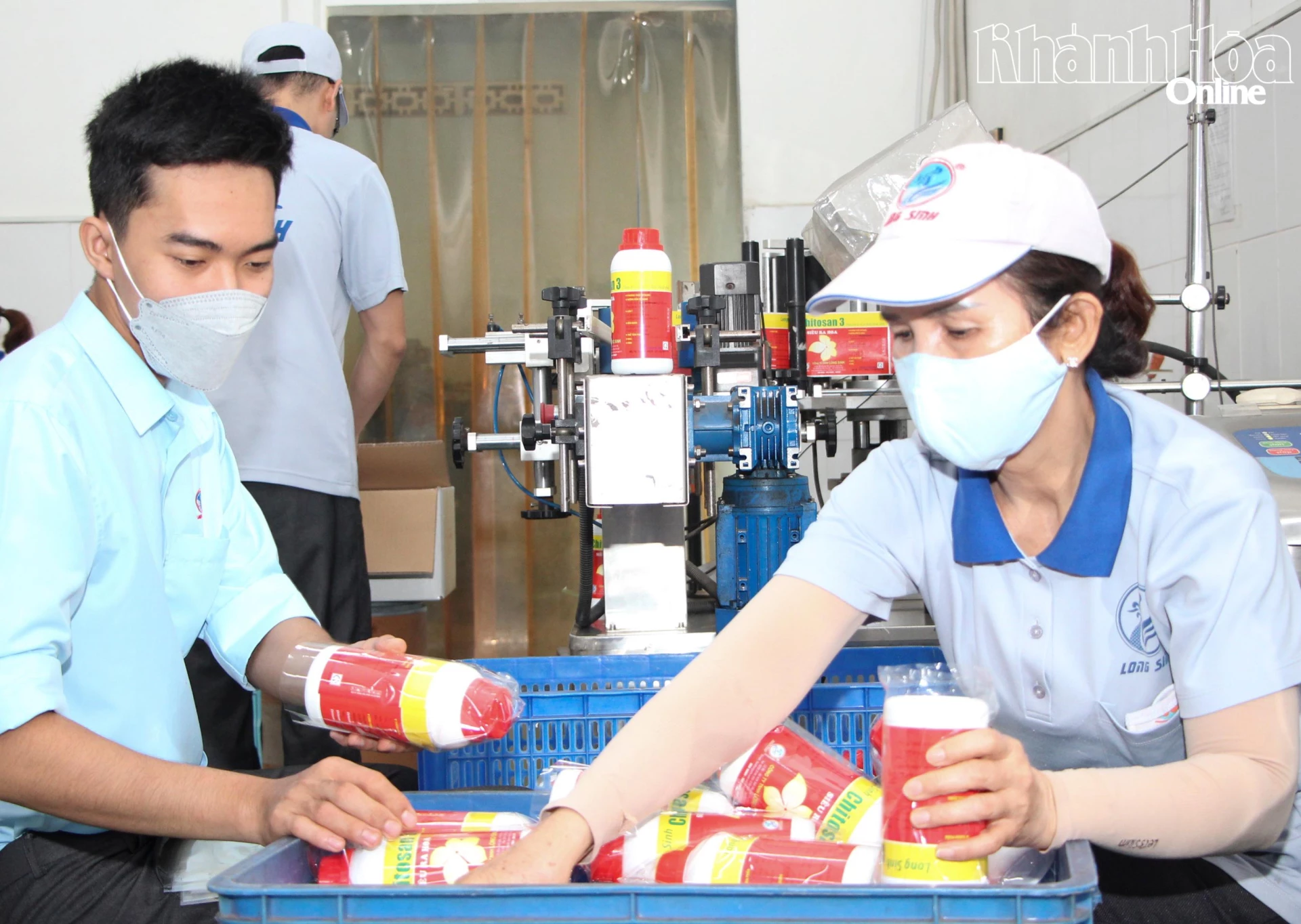 Hoạt động sản xuất tại Công ty TNHH Long Sinh (Khu Công nghiệp Suối Dầu, xã Cam Lâm). Ảnh: V.G