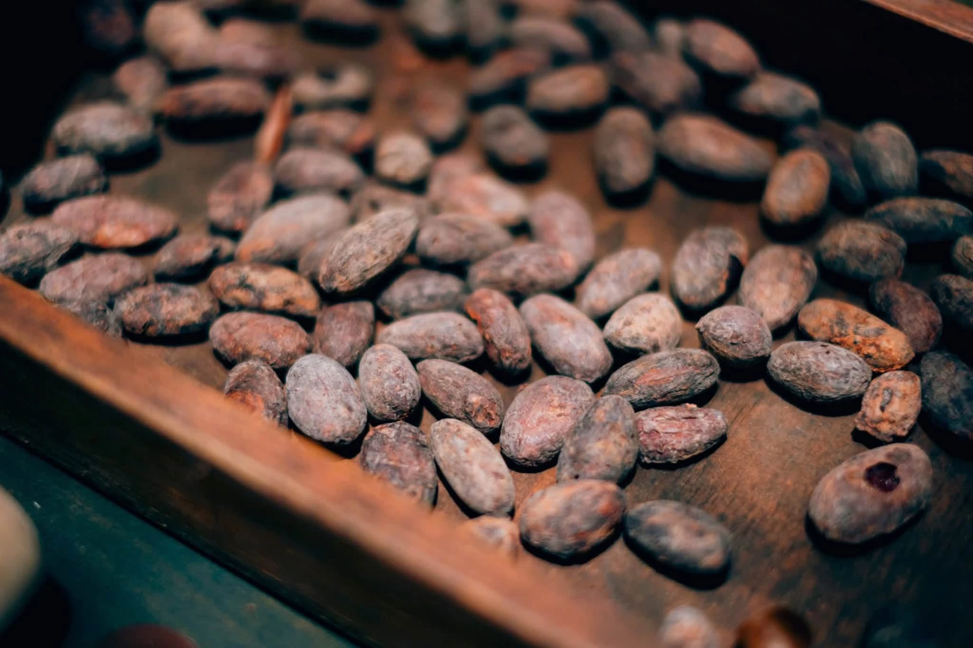 Hạt cacao không sau khi rang.
