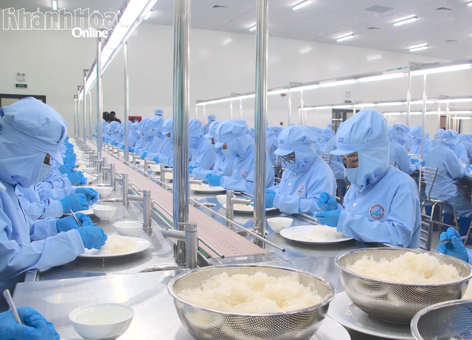 Hoạt động sản xuất của Công ty TNHH Nhà nước Một thành viên Yến sào Khánh Hòa.