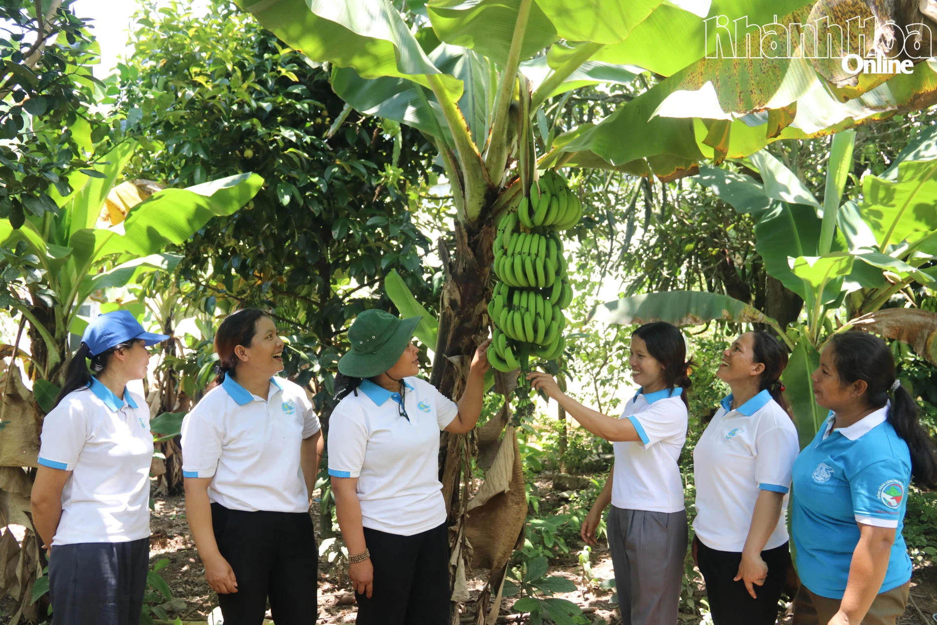 Phụ nữ xã Đông Khánh Sơn chia sẻ kinh nghiệm trồng trọt, giúp nhau phát triển kinh tế.