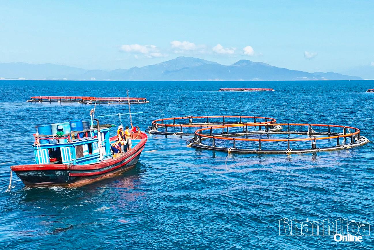 Nuôi biển bằng công nghệ cao tại Hòn Nội (phường Nha Trang).