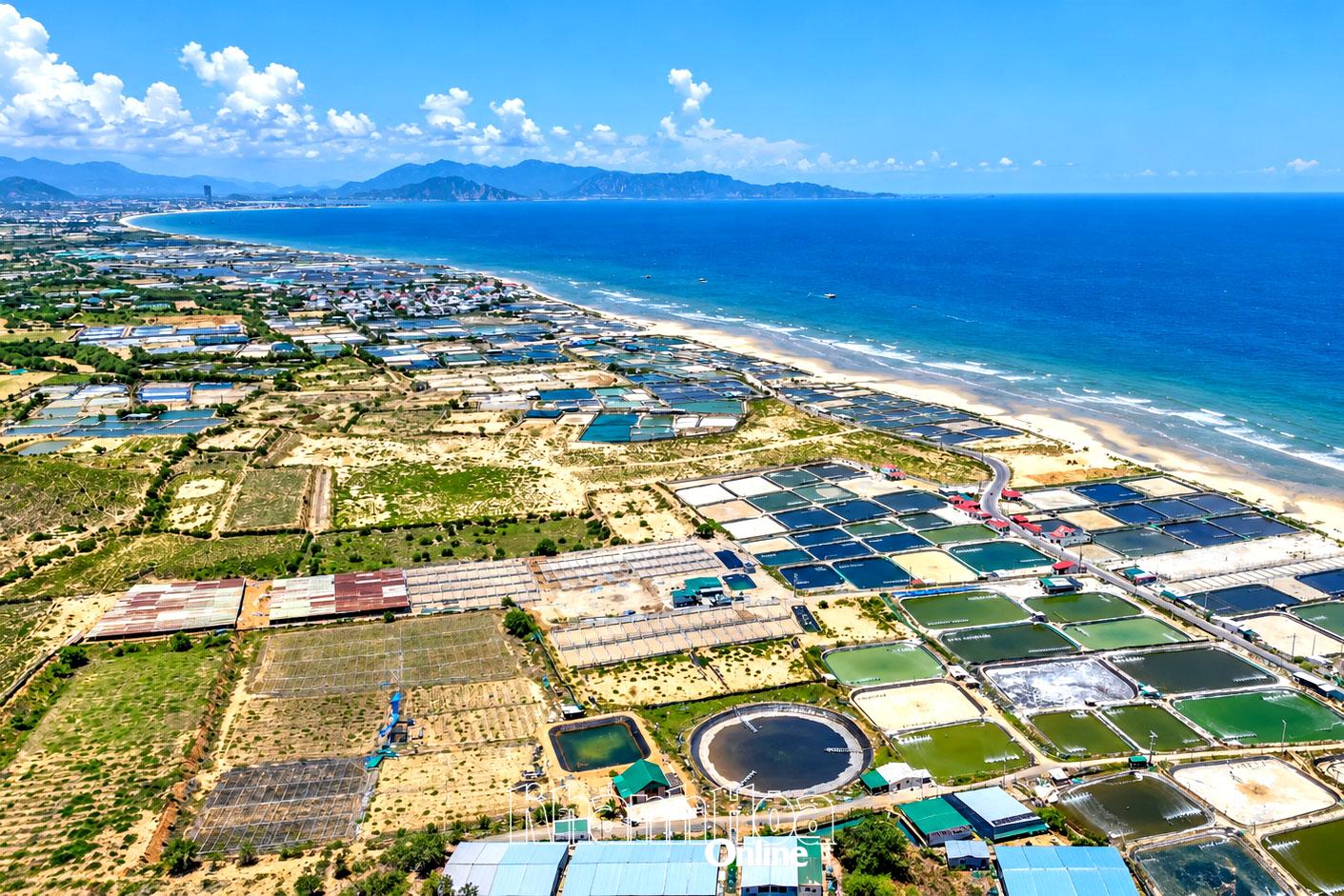 Khu vực triển khai nhà máy điện hạt nhân 1 (xã Phước Dinh) đang nỗ lực giải phóng mặt bằng.