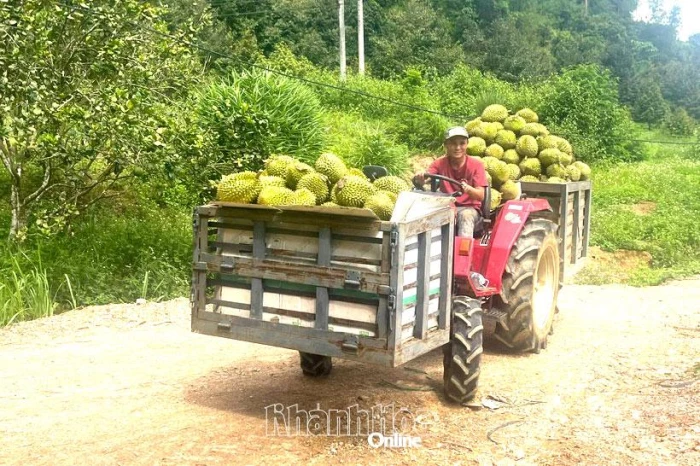Xã Khánh Sơn: Tái cơ cấu ngành nông nghiệp, nâng cao giá trị nông sản