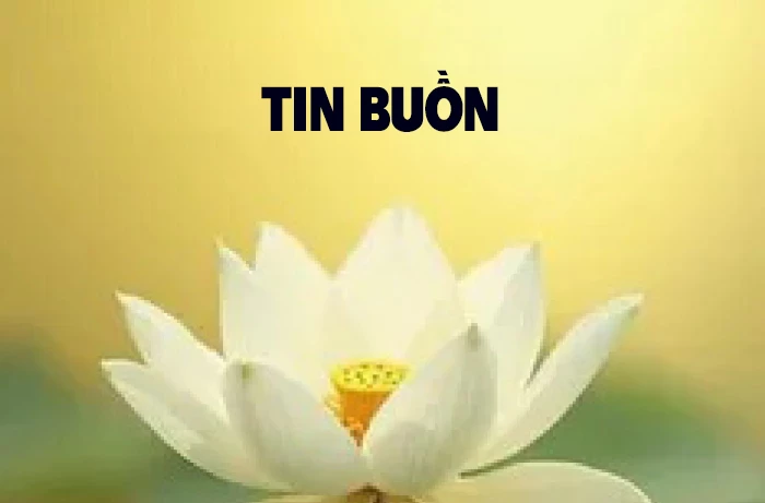 Tin buồn