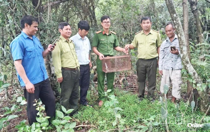 Công an xã Vĩnh Hải phối hợp tiếp nhận và thả cá thể trăn gấm về rừng