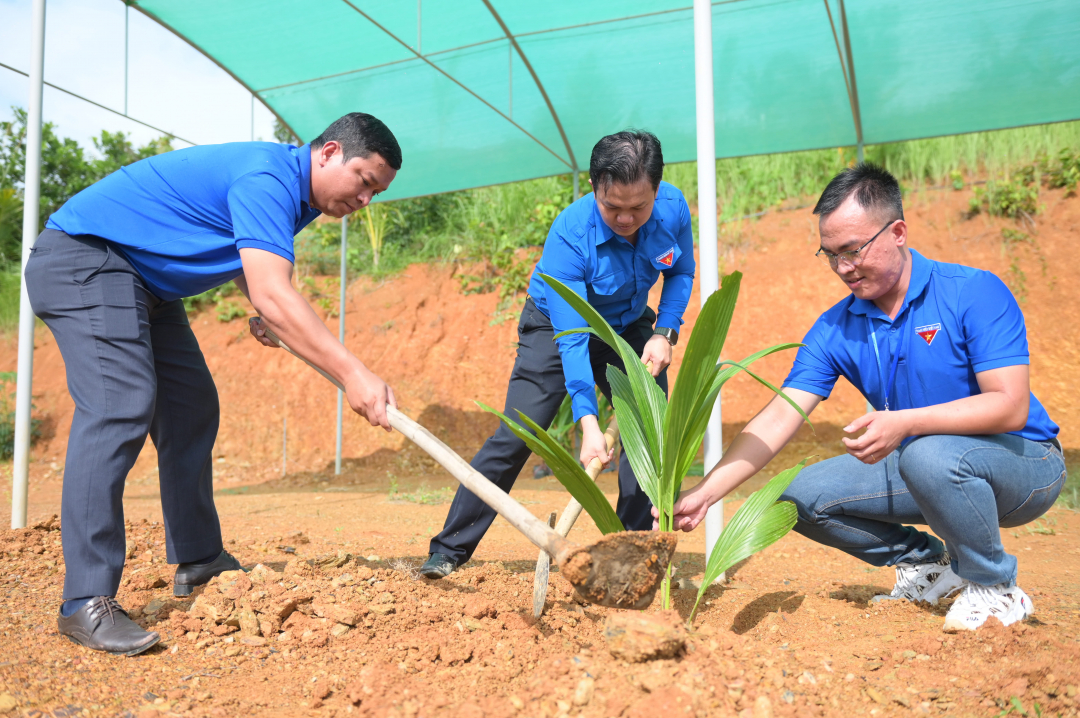 Organization committee launches a campaign to plant 1,000 trees after the competition

