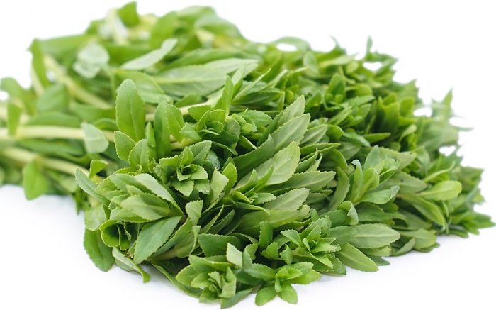 Công dụng và bài thuốc từ rau ngổ: Từ điều trị ho cảm đến giải độc cơ thể