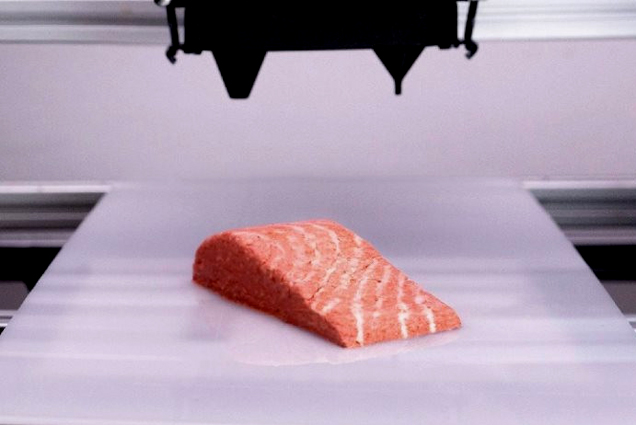Cá hồi làm bằng... công nghệ in thực phẩm 3D