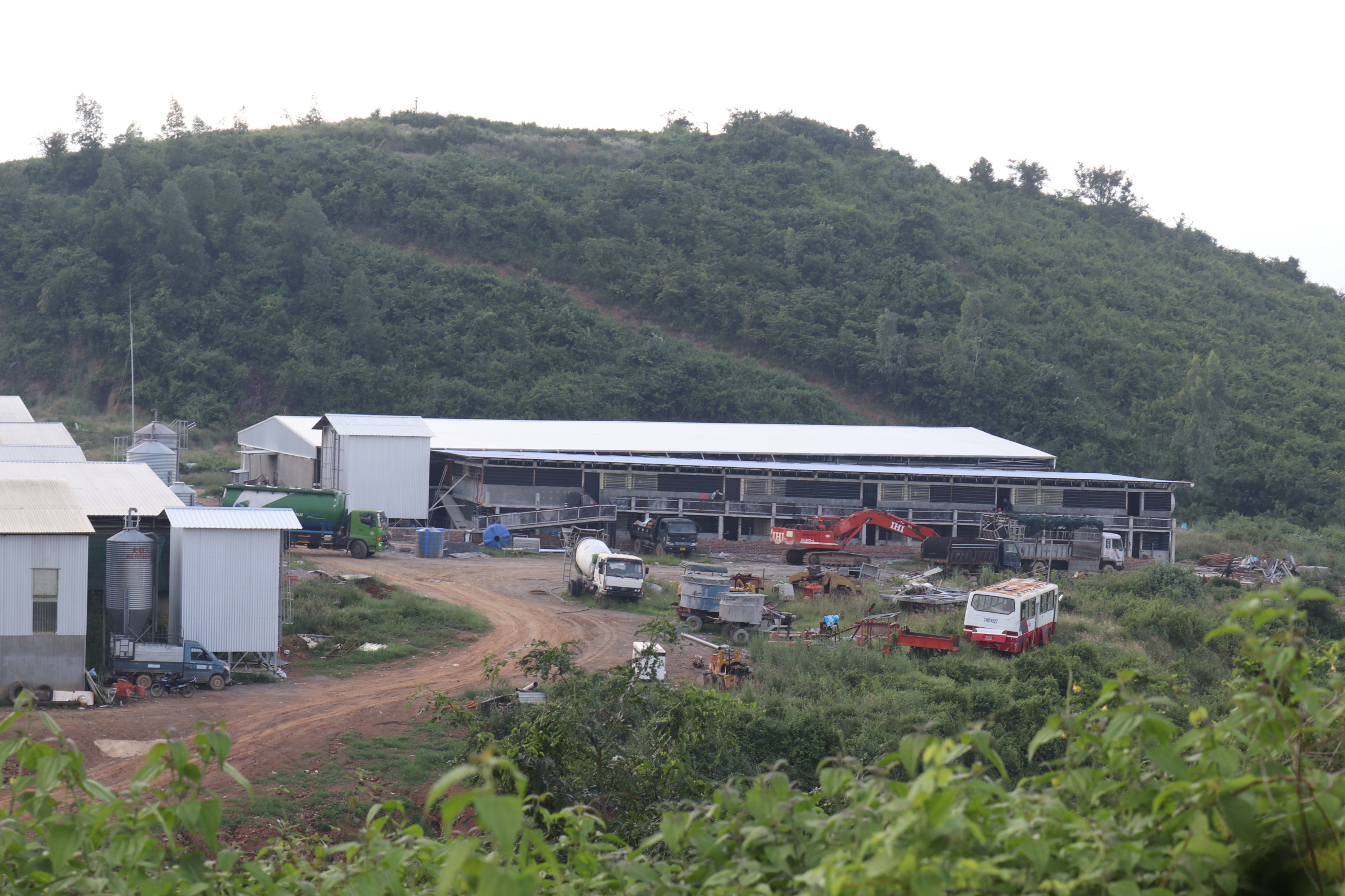 Trang trại chăn nuôi heo xây trái phép trên đất rừng ở Ninh Hòa: UBND thị xã yêu cầu xử lý dứt điểm 