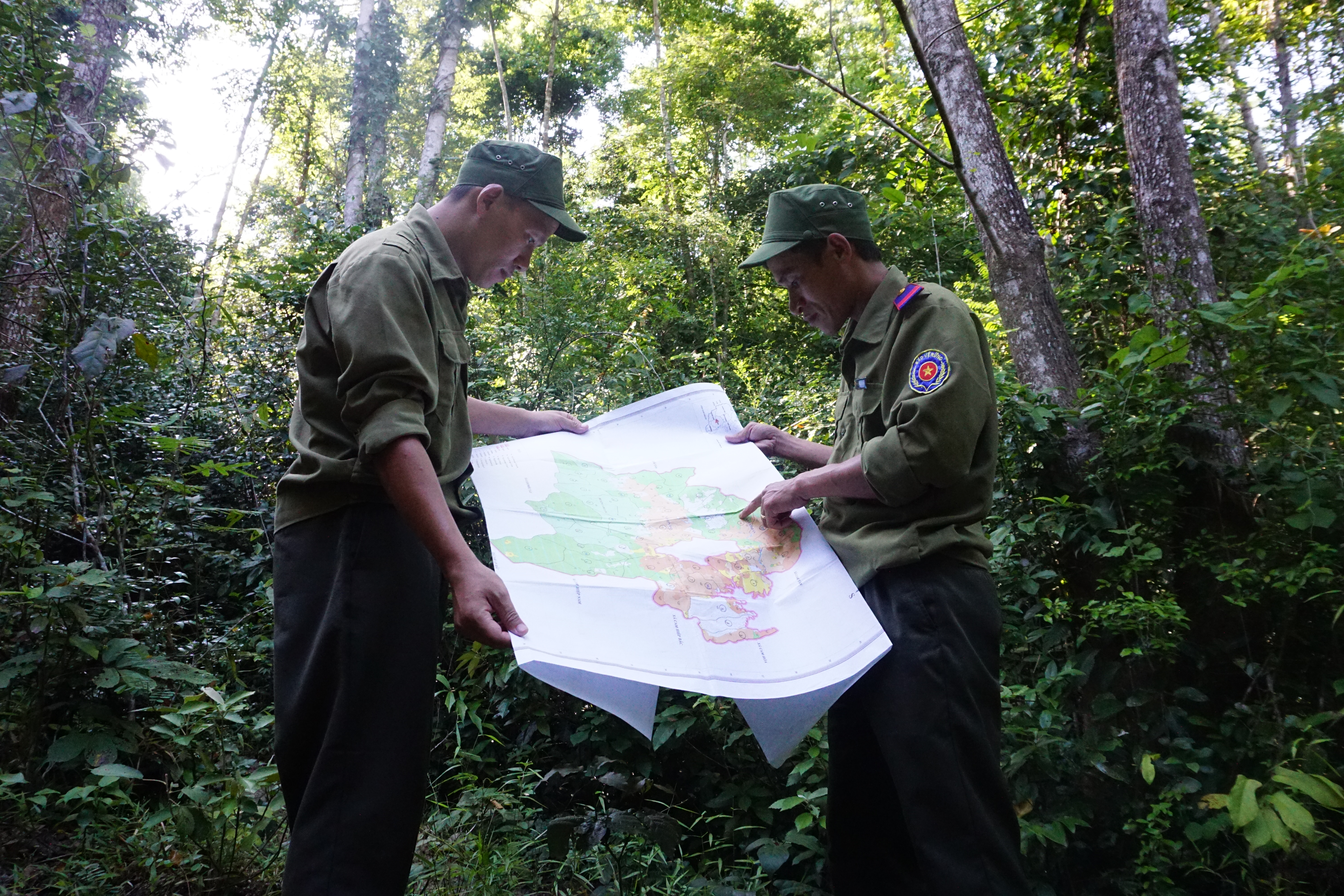 Nhân viên của Ban quản lý rừng phòng hộ Nam Khánh Hòa rà soát diện tích rừng dự kiến giao cho đồng bào dân tộc thiểu số tại xã Sơn Tân (huyện Cam Lâm) bảo vệ