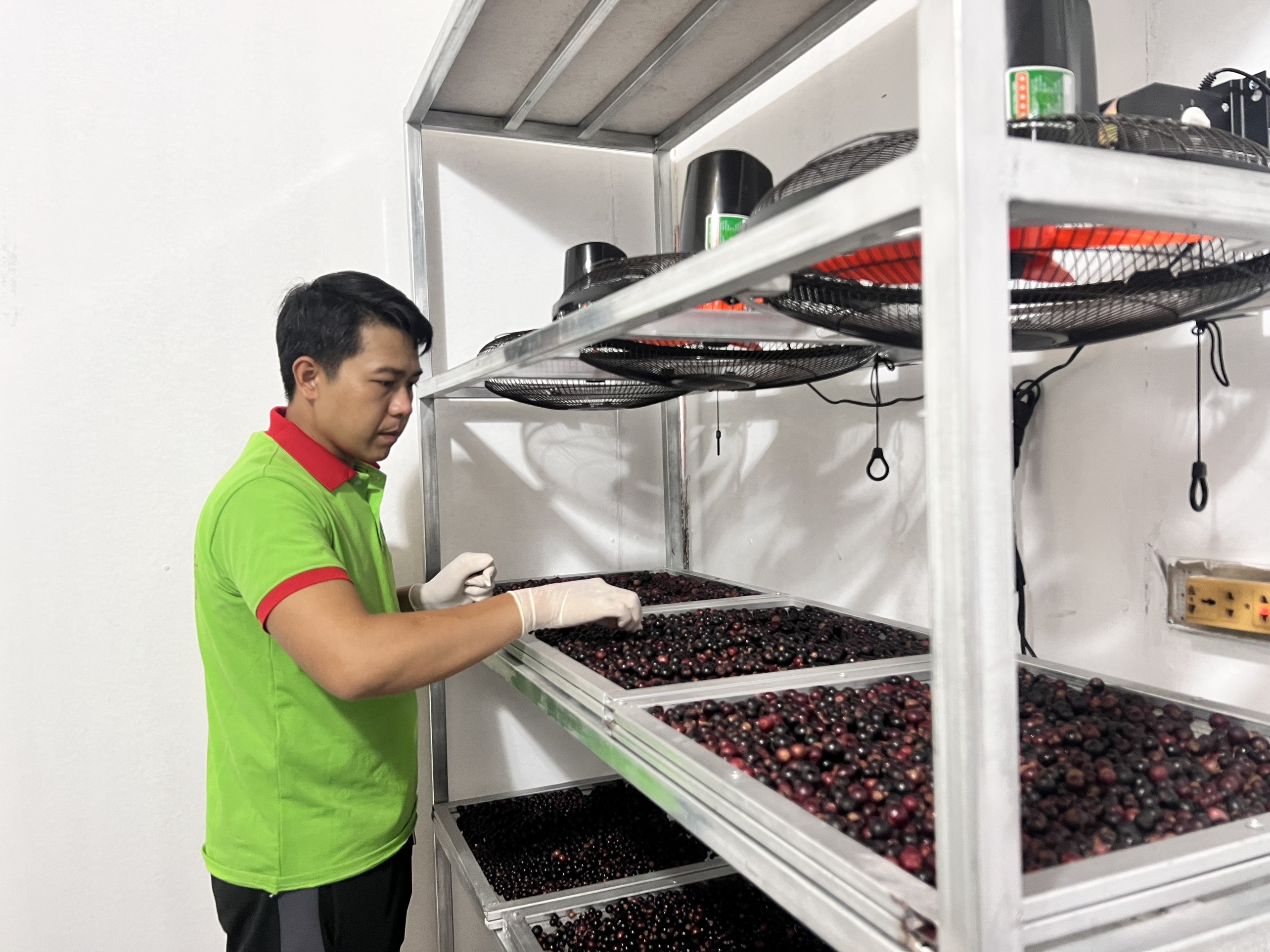 Khánh Vĩnh: Thêm nguồn thu nhập từ nho rừng