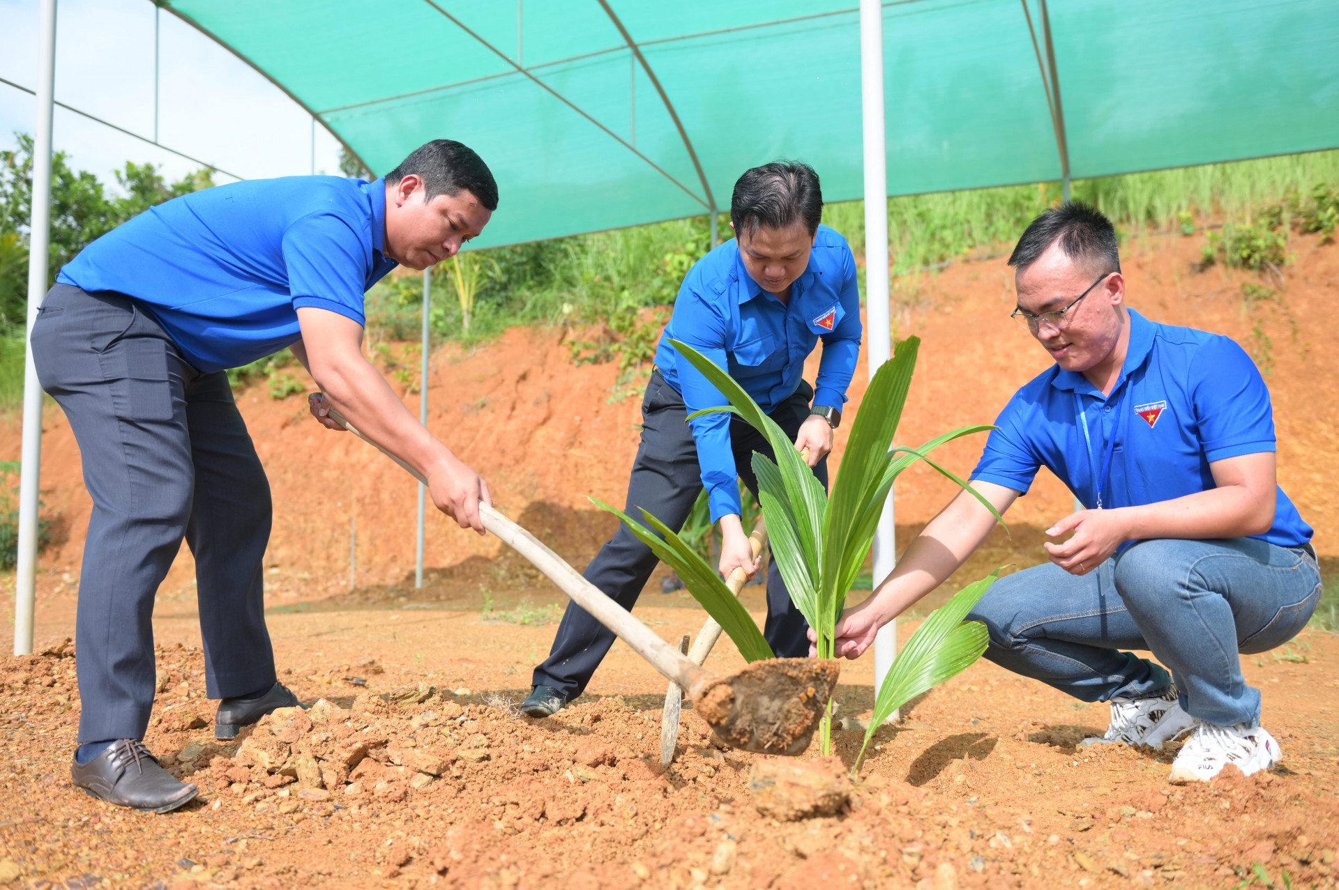 Sau giải chạy, ban tổ chức phát động chương trình trồng 1.000 cây xanh bảo vệ môi trường.