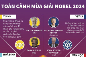 Toàn cảnh mùa giải Nobel 2024